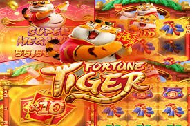 5555bet1