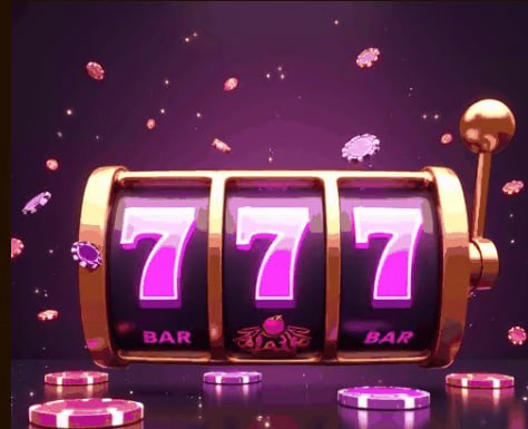 5555bet1
